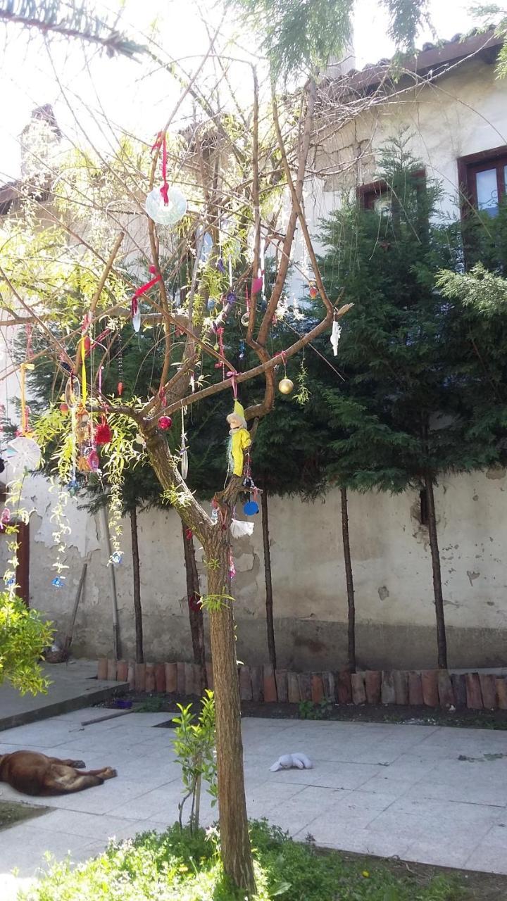 Nimet Hanim Konagi Safranbolu Exterior foto